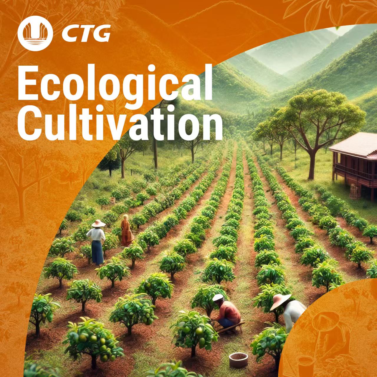 中国长江三峡集团 “HARVEST”公益助农助学AI视觉系列第1件视觉作品