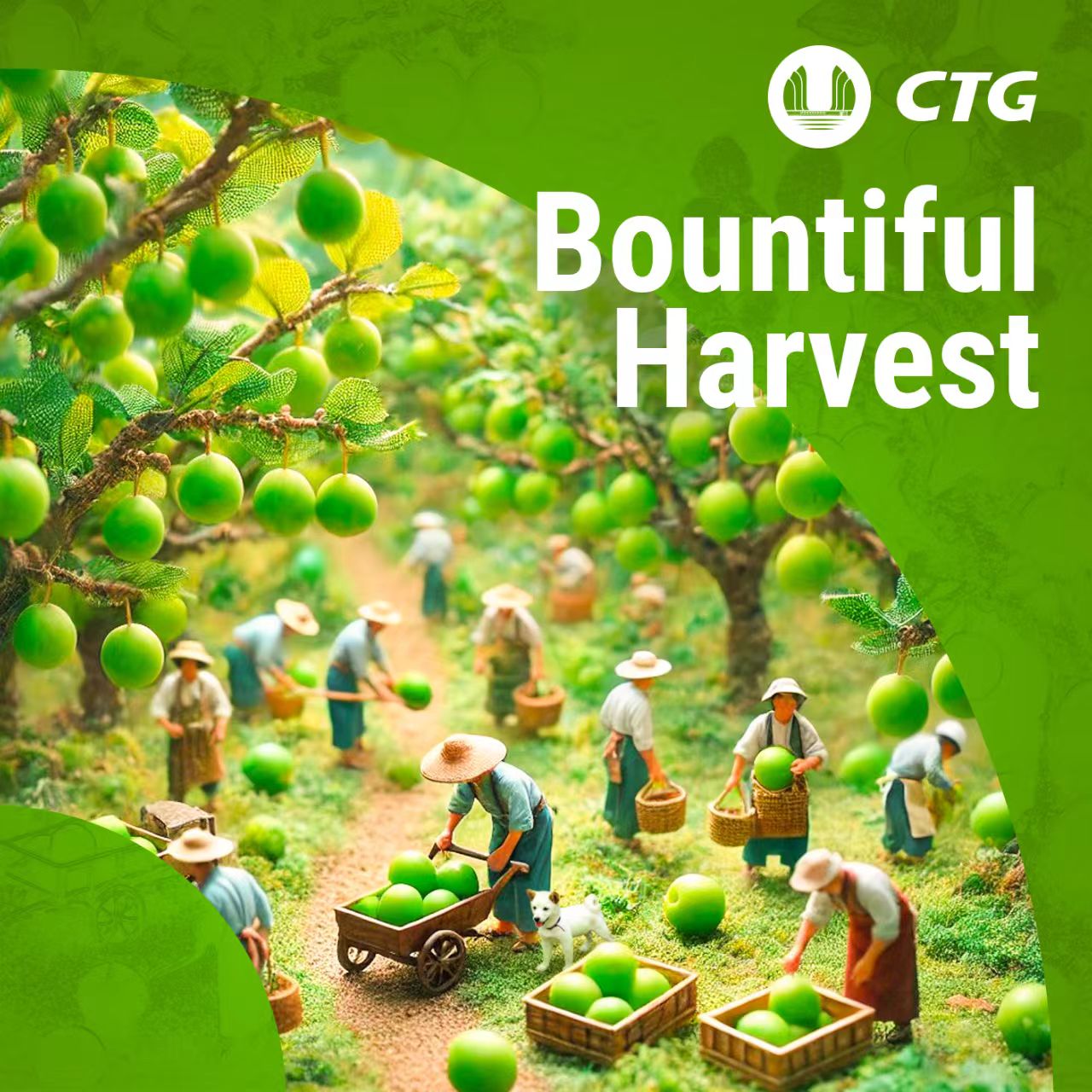 中国长江三峡集团 “HARVEST”公益助农助学AI视觉系列第2件视觉作品